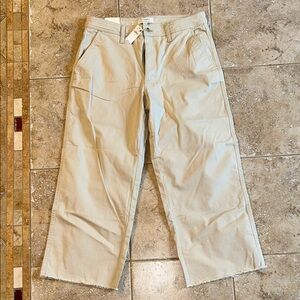 Banana Republic Women’s Wide-Leg High Rise Cropped Chino